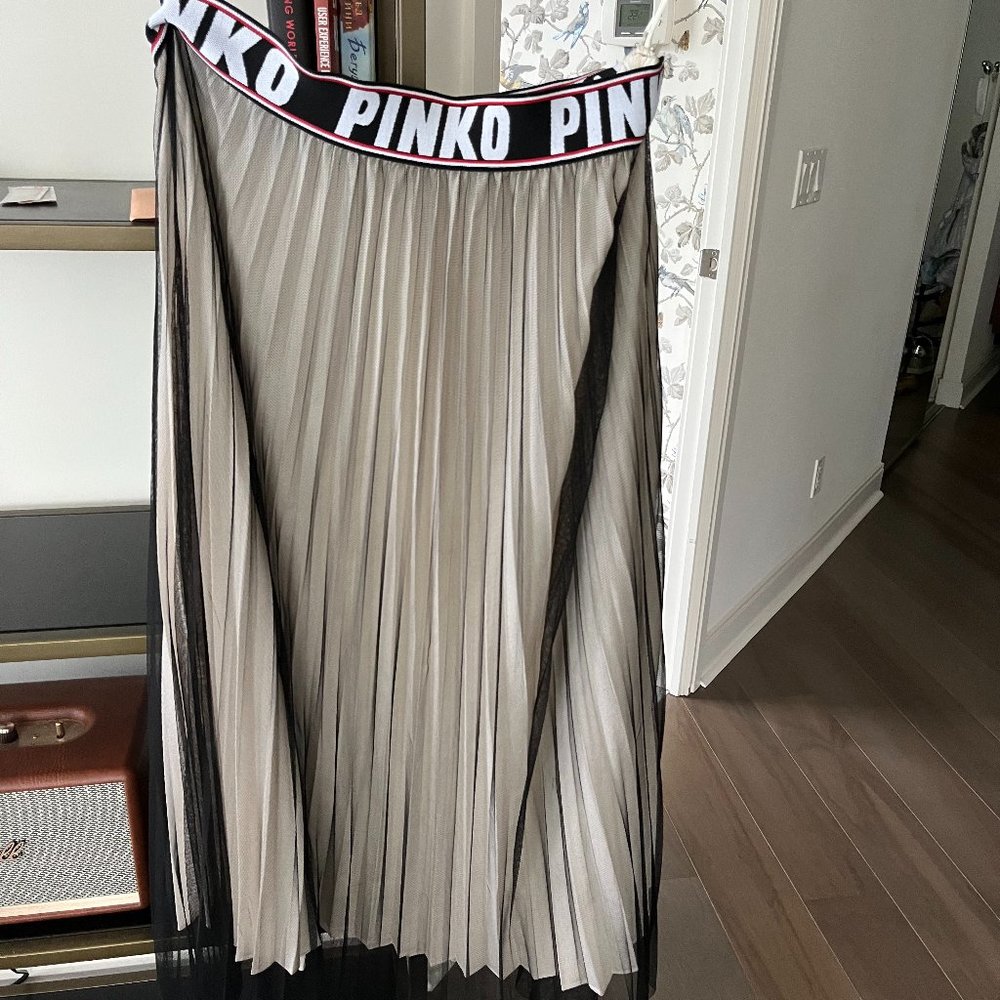 Pinko Skirt